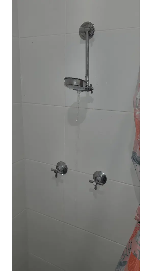 Before Leaking Shower: Leaking shower repair, Shower maintenance, Plumbing repair, Maintenance plumbing